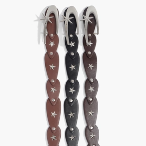 Cinture larghe vintage Y2K da donna con stelle argentate in marrone e nero
