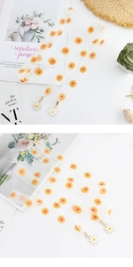 Détail de ceintures en tulle transparent à imprimé marguerites avec pendentifs fleurs