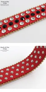 Gros plan détaillé de la ceinture rouge à strass avec bordure dorée et rivets en argent