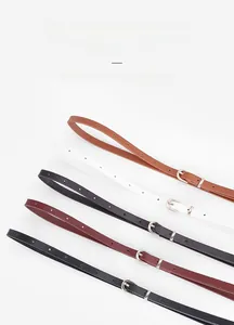 Set of five skinny women's leather belts with gold alloy buckles in various colors