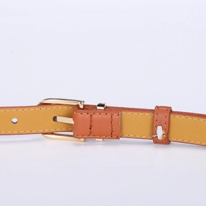 Fine ceinture marron classique avec boucle ardillon dorée pour robes et jeans