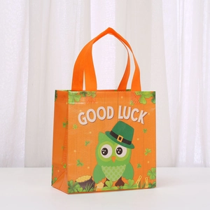Detail of St. Patrick’s Day gift bag with owl print, shamrocks and Good Luck text
