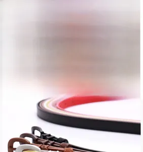 Detail view showing multi-color collection of slim women belts with pin buckles in five colors