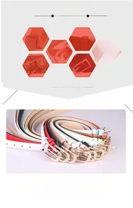 Selection of thin PU leather belts for women with gold alloy buckles in various colors
