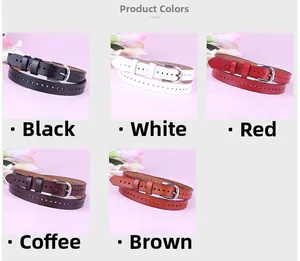 Selezione di cinque cinture in pelle colorata da donna con fibbie in metallo argento
