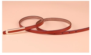 Détail d'une ceinture en cuir marron avec une boucle en forme de fer à cheval doré poli