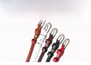 Collection of thin leather belts for women in brown white black and red with silver buckles