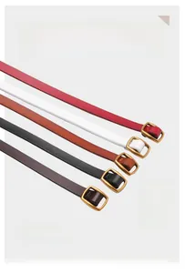 Five assorted colors of leather skinny belts with gold square buckles in a stylish arrangement