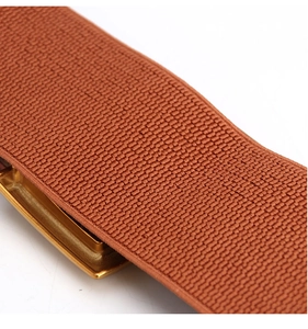 Detailaufnahme der orangefarbenen elastischen Textur und der goldenen Metallschnalle