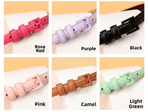 Dettaglio di sei cinture sottili colorate con fibbie quadrate coordinate in varie tonalità