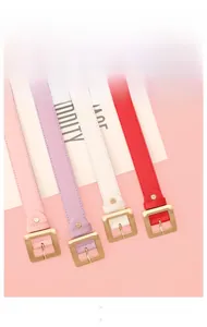Detail of four colorful leather belts with golden square pin buckles for women
