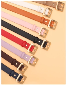 Flat lay of women's fashion belts in nine colors with golden square pin buckles