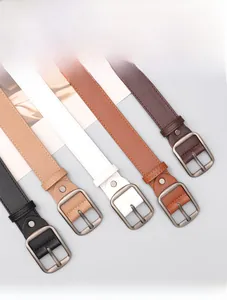 Detail of five slim leather belts in various colors with brushed square pin buckles