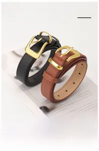 Dettaglio delle cinture in pelle nera e marrone con eleganti fibbie in metallo dorato