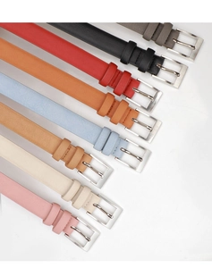 Detailed macro view of multi-colored women's slim belts with silver square pin buckles