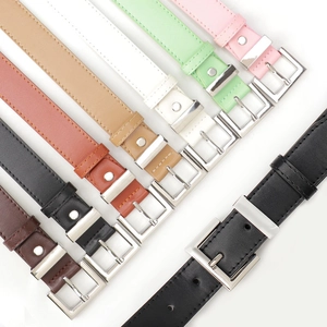 Minimalistische Ledergürtel für Damen mit silbernen quadratischen Schnallen in verschiedenen Farben