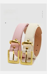 Detailansicht dünner Ledergürtel in Rosa und Creme mit eleganten goldenen Schnallen