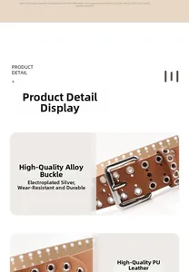 Detail view of brown PU leather belt with silver grommets and alloy pin buckle