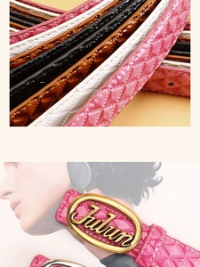 Close-up of gloss finish belt with diamond pattern and gold oval Julun buckle