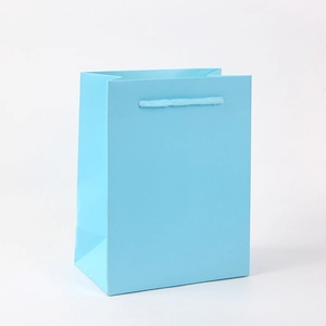 Detailed side view of light blue matte cardstock gift bag with woven rope handles