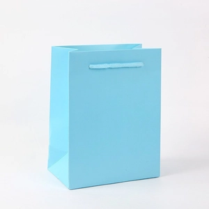 Bolsa de regalo vertical azul claro de papel con asas sobre fondo blanco liso