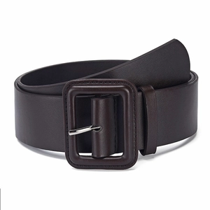 Close-up of wide dark brown leather belt with large rectangular buckle and silver pin