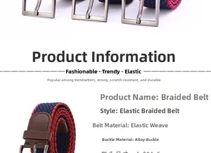 Detail of red and blue elastic woven belt featuring silver alloy buckle and leather trim
