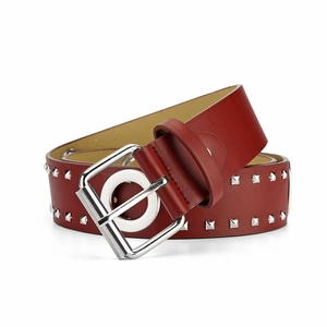 Detail van bordeauxrode leren riem met twee rijen vierkante zilveren klinknagels en gespsluiting