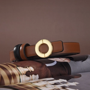 Detail of slim dark brown leather belt with shiny gold round buckle on magazine