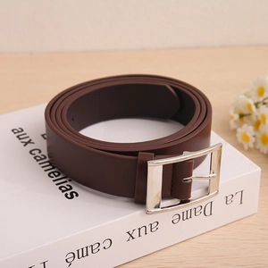 Detail of dark brown leather belt with polished silver pin buckle on a white book
