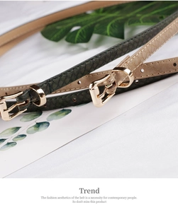 Détail de ceintures vert foncé et beige à motif serpent avec boucles dorées élégantes