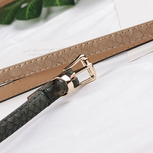 Ceinture étroite en cuir à motif serpent avec boucle ardillon dorée en marron et vert