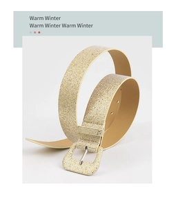 Macro detail of golden sequin pattern and square buckle on a stylish wide PU belt