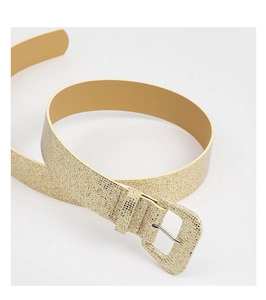 Close-up of glitter gold texture and metallic square pin buckle on this fashion belt