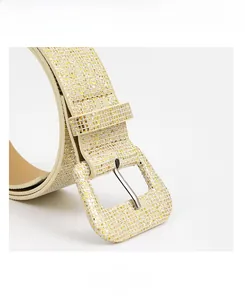 Detail view of champagne gold glitter belt with matching square pin buckle finish