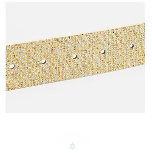 Detailed macro view of the golden sequin pattern and adjustable holes on the fashion PU belt
