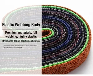 Makroaufnahme verschiedener Farben von elastischen Flechtgürteln mit gewebten Details