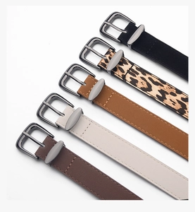 Detailed collection of five minimalist women's belts in various colors with metal buckles