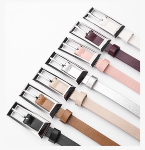 Detailed collection of slim rectangular waist belts for women in seven various trendy colors