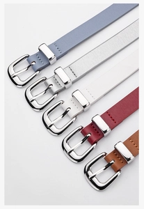 Detail of five assorted colorful PU leather belts with polished silver needle buckles