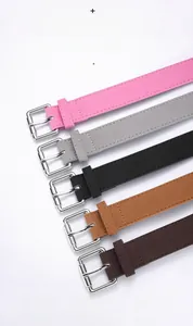 Détail de cinq ceintures en faux daim de couleurs variées avec boucles en métal argenté