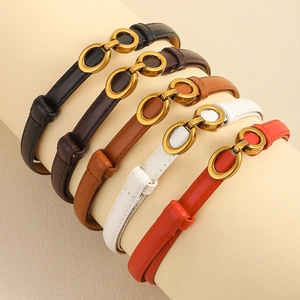 Lot de ceintures fines en cuir pour femme en cinq couleurs avec boucles dorées vintage