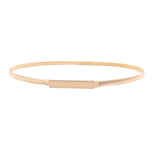 Elegant gold elastic snake chain waist belt with polished rectangular metal buckle closure