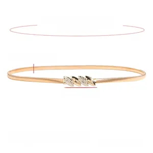 Detailansicht goldene Blattschnalle Federgürtel mit 70cm Länge und 0,8cm Breite Maßen