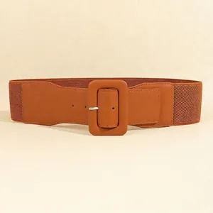 Detailed macro view of brown elastic waist belt with square buckle and waffle texture