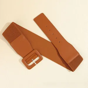 Close-up of caramel brown wide elastic belt with leather panel and metal buckle