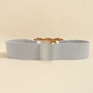 Macro detail of elastic grey waist belt with beige leather and gold rivet closure