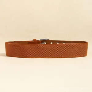 Close-up of brown elastic wide waist belt with silver square metal buckle for dresses