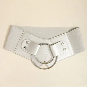 Detail of silver double metal rings and elastic band on wide waist cincher belt