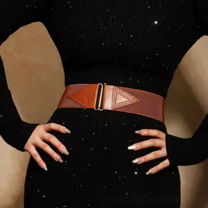 Damen Minimalistisch Elastisch Korsettgürtel PU-Leder Dekorativ Hüftgürtel Mode Breit Gürtel Accessoire Für Kleider Rock